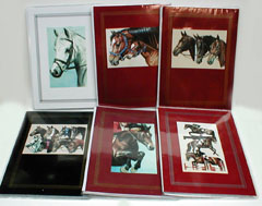 Small Horse Photo Albums